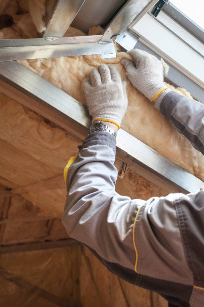 Best Types of Insulation in Ainaloa, HI